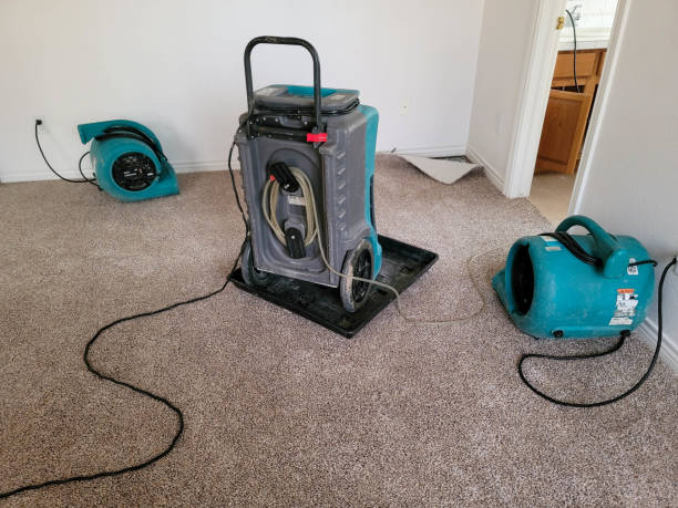 Professional Water damage restoration in Utica, OH