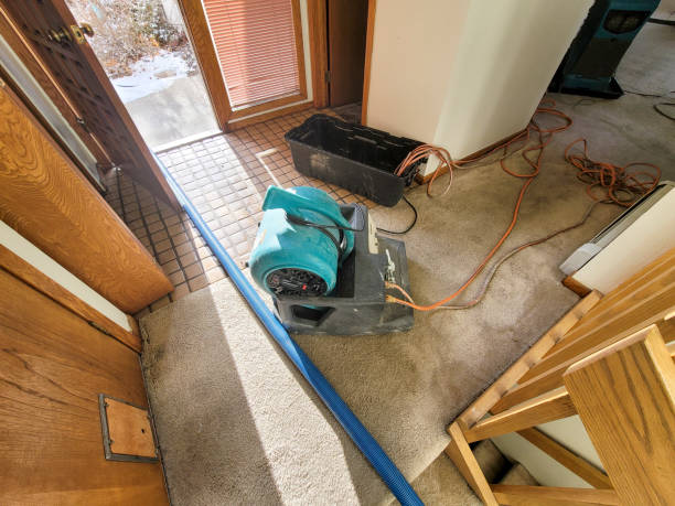 Best Local water damage restoration  in Utica, OH