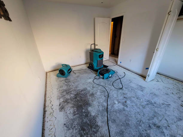 Best Emergency water damage restoration  in Utica, OH