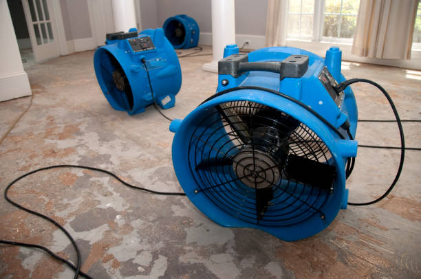 Best Fire Damage Restoration  in Utica, OH