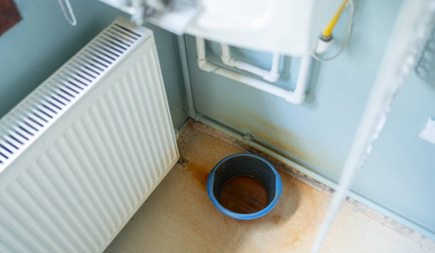 Best Carpet water damage restoration  in Utica, OH